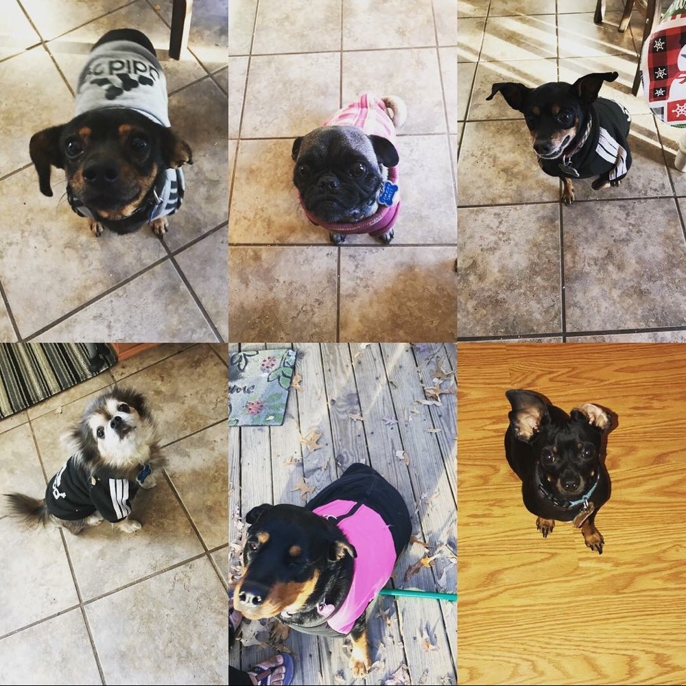 My babies 💜💙❤️💚🧡💛